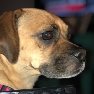 Meet your Posher, Dorothy